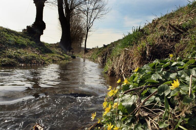 Der Mühlbach bei Bönnigheim: Heute ein kleines Bächlein, doch bei Hochwasser kann er für Überschwemmungen sorgen.  Archivfoto: Alfred Drossel/LKZ