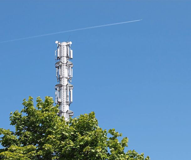 Wie bei diesem Symbolbild, wird auch der Mobilfunkmast im Löchgauer Riedwald die Bäume überragen. Foto: Karsten Schmid/stock.adobe.com