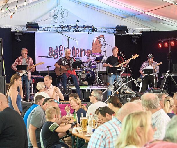 Großer Andrang herrscht beim Pleidelsheimer Waldfest. Auf der Bühne sorgt am Sonntag Ageworn für Stimmung. Fotos: Andreas Becker