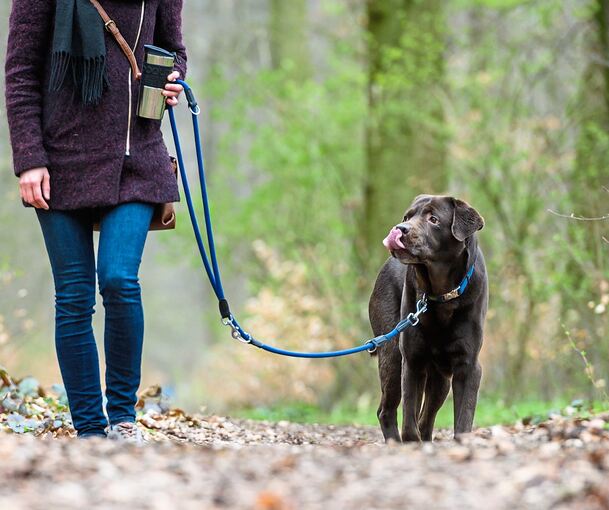 Erligheim erhofft sich mit der Erhöhung der Hundesteuer „eine gewisse Lenkungswirkung“.