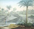 Der gedruckte Bilderatlas „Vues pittoresques des Cordillères, et monumens des peu- ples indigènes de l’Amerique“ von Alexander von Humboldt und Aimeé Bonpland von 1810. Foto: privat
