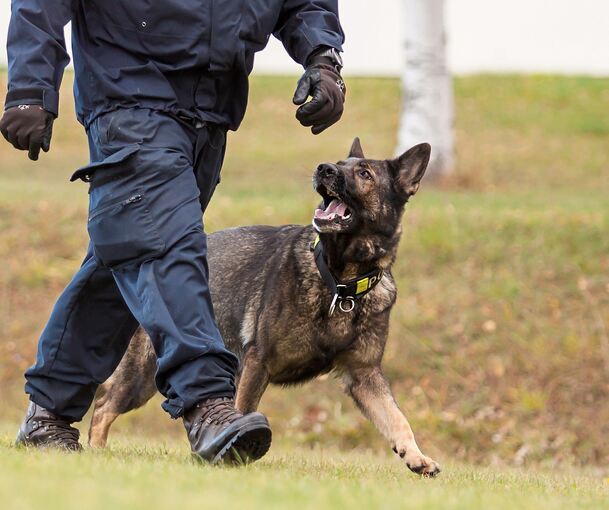 Der Mann konnte mit Hilfe eines Polizeidiensthundes vorläufig festgenommen werden.
