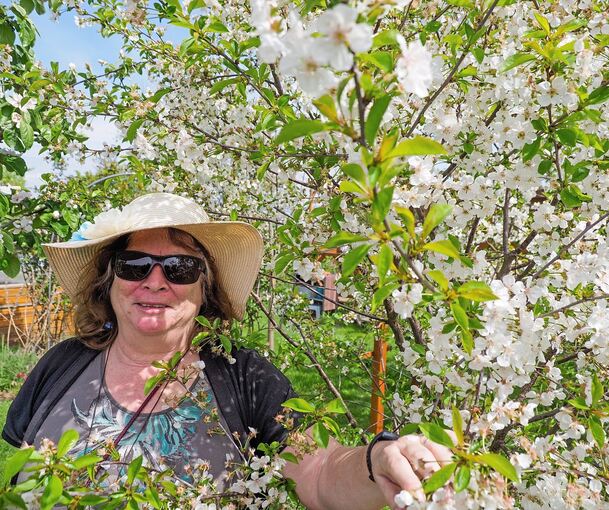 Cindy HalbertSeger tüftelt Wie wird ein Garten zum Büfett für Insekten?