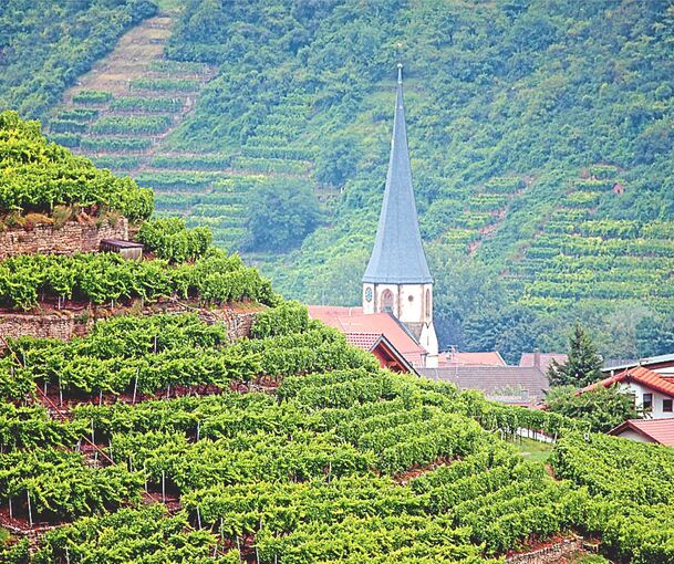 Was muss getan werden, um die Steillagen langfristig zu erhalten? Archivfoto: Alfred Drossel