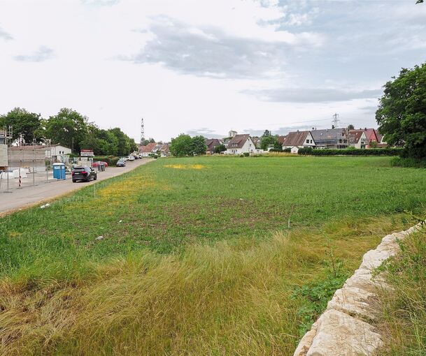 Die Asperger Fläche, auf der das Katastrophenschutzzentrum stehen soll, erstreckt sch bis nah an Eglosheim und die Tammer Straße (Häuser im Hintergrund). Foto: Holm Wolschendorf