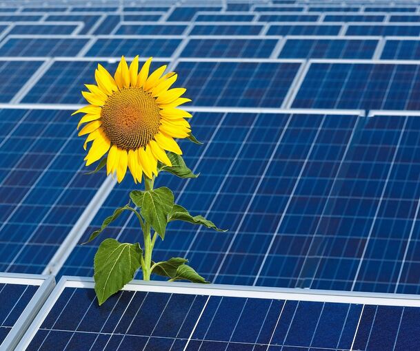 Den Ausbau von Photovoltaikanlagen vorantreiben will das neugegründete Unternehmen „Energiewende Region Ludwigsburg“.