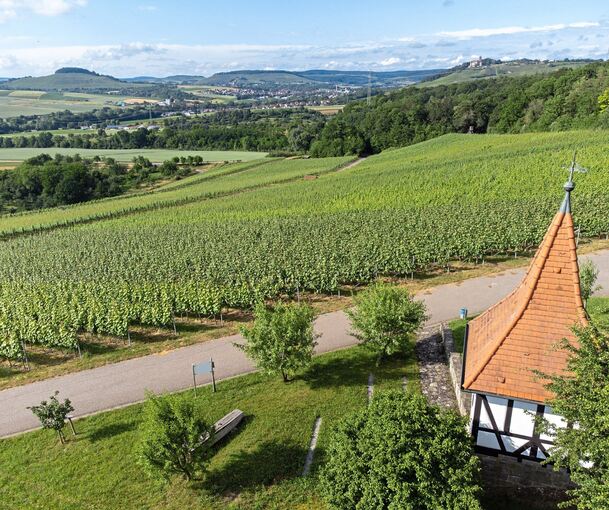 Die charakteristischen Weinberge am Großbottwarer Harzberg sollen erhalten bleiben. Hinter dem Harzberg jedoch könnte eine ehemalige Anbaufläche für eine Solaranlage genutzt werden.