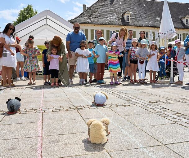 Plüschtiere sind beim Mäuserennen auf dem Marktplatz an den Start gegangen. Fotos: Andreas Becker