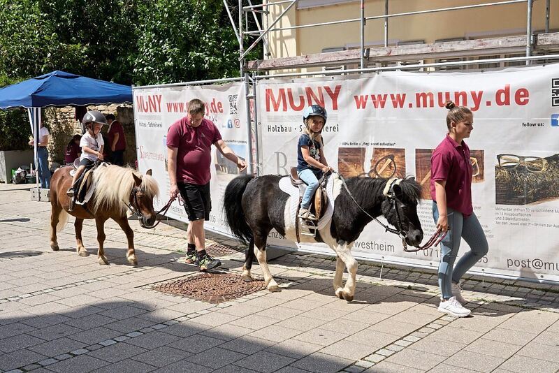 DBFile#Loc=350_LogType=8_Id=3666598_SubKey=High_V=2#20230703194336