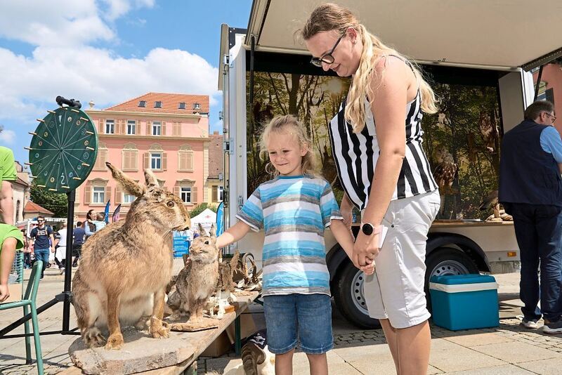 DBFile#Loc=350_LogType=8_Id=3666603_SubKey=High_V=2#20230703194336