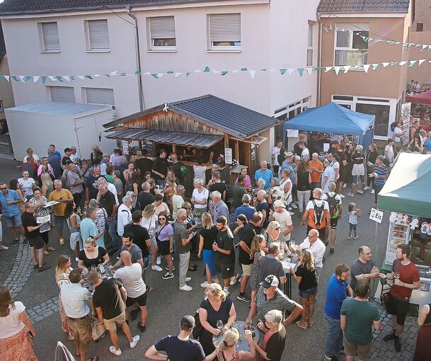Die Weintage locken viele Gäste nach Erligheim, was nicht allen gefällt. Foto: Alfred Drossel