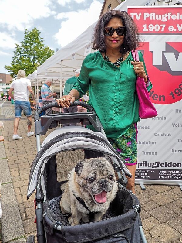 Wo Stadträtin Uschi Traub ist, ist Mops Pedro nicht sehr weit.