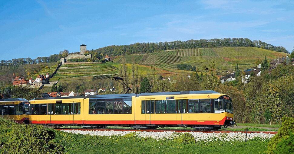 Zumindest auf der Fotomontage der Bürgeraktion Bottwartalbahn fährt die Bahn bereits unter der Beilsteiner Burg durchs Tal. Fotomontage: Bürgeraktion Bottwartal