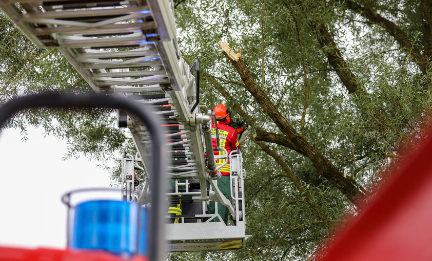 Beschädigte Bäume: Die Feuerwehr muss für die Sicherheit sorgen. Foto: Thomas Warnack/dpa