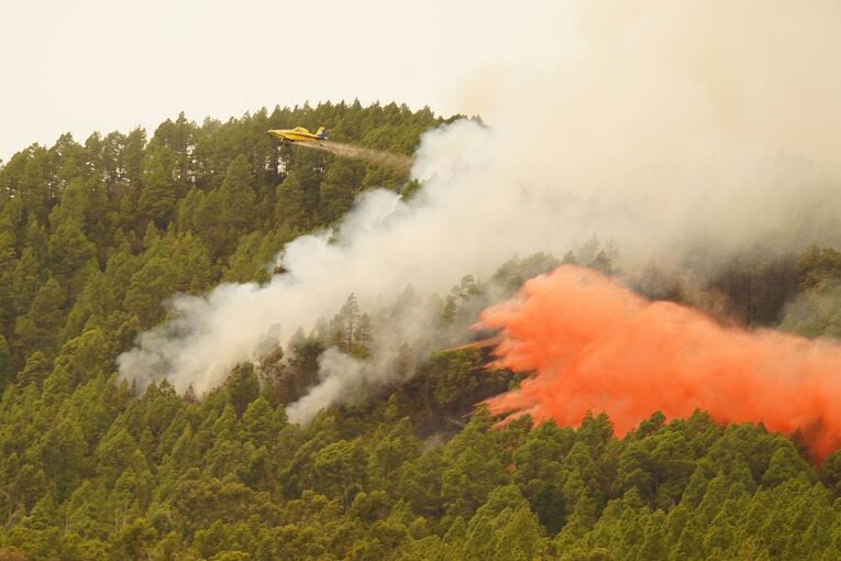Waldbrand auf Teneriffa