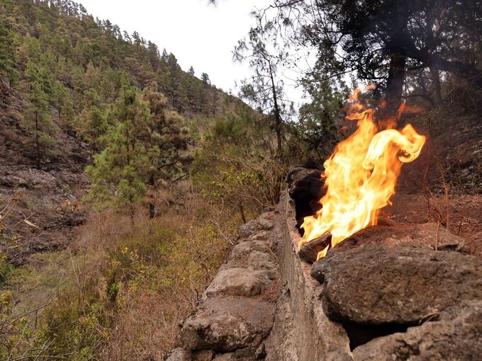 Waldbrände auf Teneriffa
