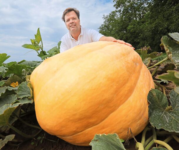 Jens Eisenmann führt den Obsthof Eisenmann in dritter Generation. Auf 19 Hektar baut der Kürbisse an – unter anderem Risenkürbisse. Fotos: Holm Wolschendorf