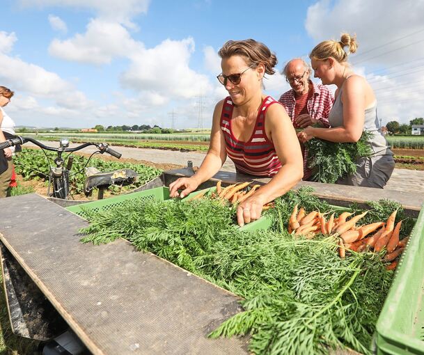 Susanna Leopold bei der Ernte auf dem Schwalbenhof. Die Landwirtschaft ist auf manche Insekten angewiesen – die Abhängigkeit besteht aber auch andersherum. Archivfoto: Ramona Theiss