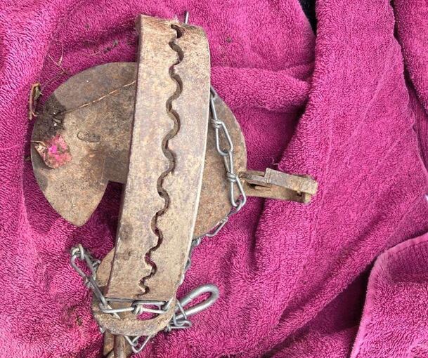 Das verbotene Jagdgerät.