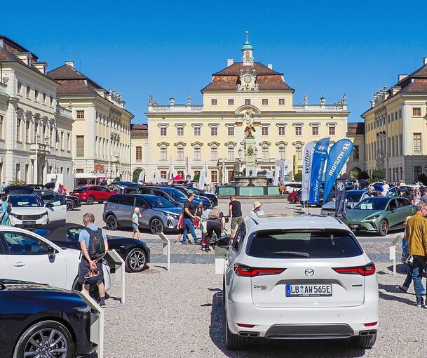 Mitarbeiter der Autohäuser beantworten die Fragen der Besucher.
