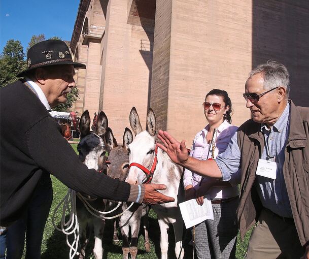 Der einzige Pferdehändler, Berthold Nonnenmann (links), mit dem Handschlag zum Kaufabschluss und seinen drei Eseln. Foto: Alfred Drossel