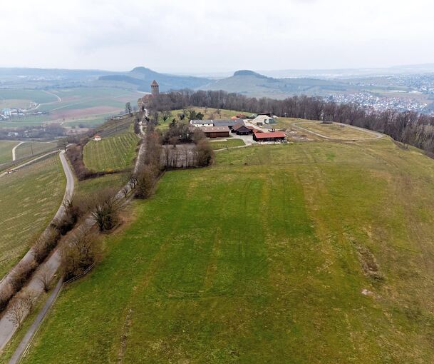 Auf dem Luftbild ist das Areal des einstigen Ponyhofs gut sichtbar, auf dem in Zukunft der neue Legehennenbetrieb von Landwirt Martin Föll entstehen soll.