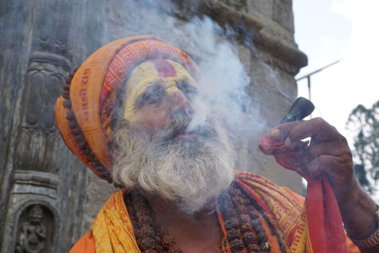 Cannabis - Nepal