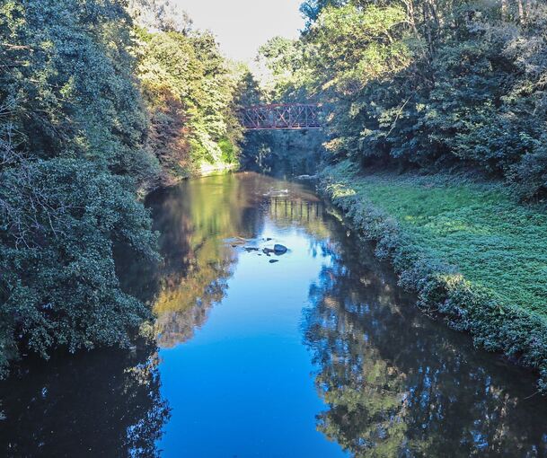 Wie die Murr quirliger werden soll