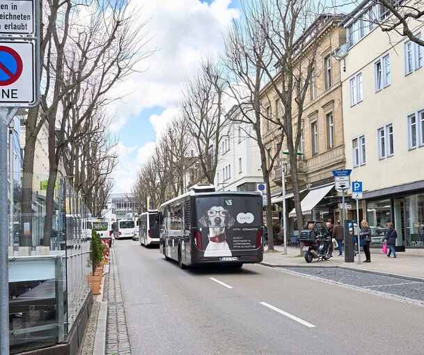 Ab kommenden Jahr will die Landeszentrale an ihrem Standort in der Myliusstraße auch einen Shop anbieten. Archivfoto: Andreas Becker