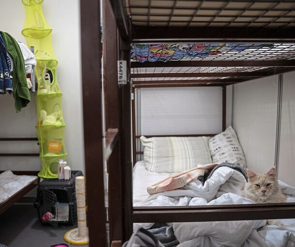 Blick in eine Flüchtlingsunterkunft: Markgröningen muss in diesem Jahr 81 Menschen ein Dach über dem Kopf bieten – 2024 könnten es noch mehr werden. Foto: Hannes P. Albert/dpa