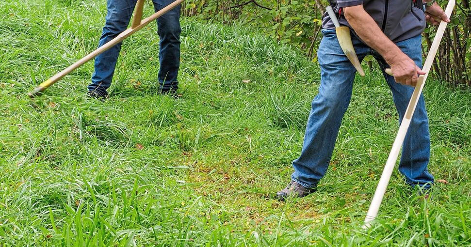 Beim Landschaftspflegetag konnten die Besucher mithelfen, ob beim Rechen oder beim Sensenkurs mit Weltmeister Gerhard Rickert aus Murrhardt. Es gab aber auch Informationen über Maschinen und deren Einsatzmöglichkeiten. Fotos: Holm Wolschendorf