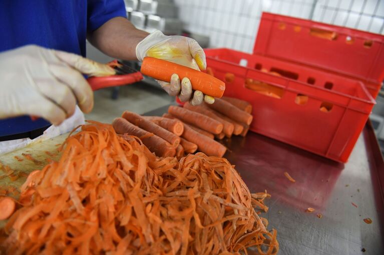 Ein Häftling schält Karotten in der Küche eines Gefängnisses