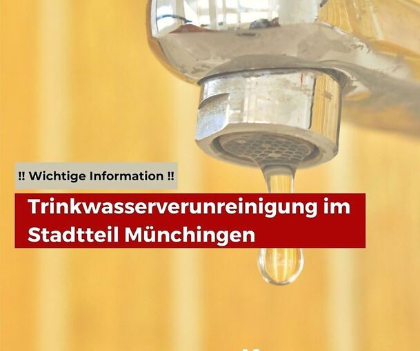 Im Gebiet der Landesversorgung in Münchingen wurde der Erreger Enterokokken gefunden, der zu Durchfall und Übelkeit führen kann. Foto: Stadtverwaltung