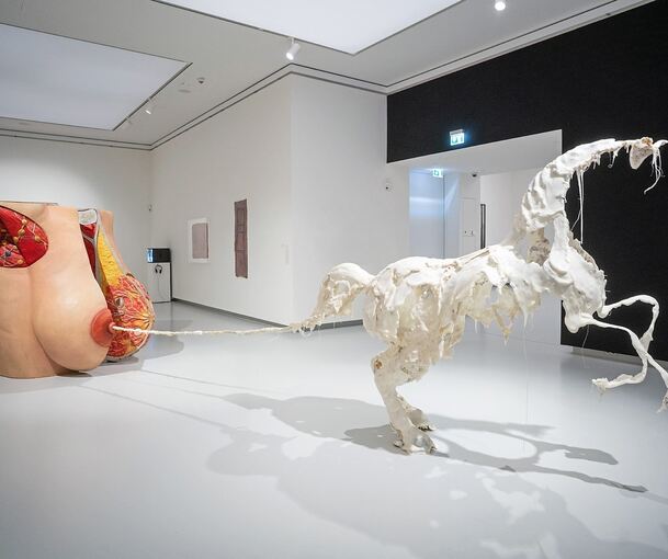 Spektakulär und raumgreifend: Raphaela Vogels multimediale Installation „Uterusland“. Foto: Kunsthalle Tübingen/p