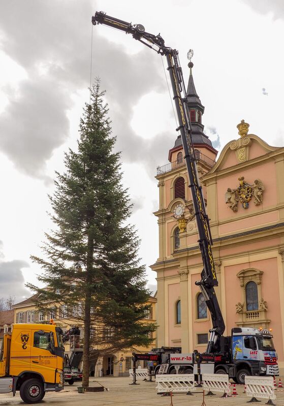 Auch der Tannenbaum steht inzwischen schon auf dem Marktplatz.