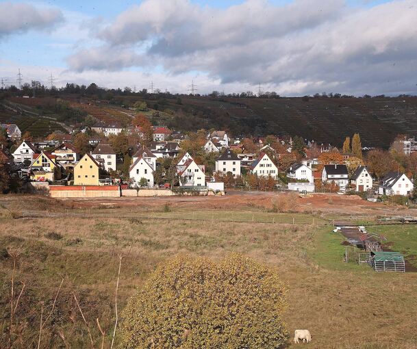 Die Bebauung des zwei Hektar großen Areals zwischen Marien- und Luisenstraße sorgt weiter für Diskussionen. Foto: Alfred Drossel
