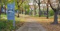 Mit herbstlichem Laub ist der Ludwigsburger Walckerpark zur Zeit geschmückt. Foto: Holm Wolschendorf