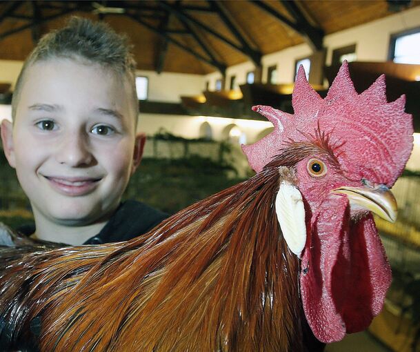Jungzüchter Noah Schweiker mit einem prächtigen Italiener-Gockel. Diese Rasse steht auf der Roten Liste. Foto: Alfred Drossel