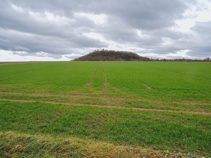 Auf dem Schanzacker plant das Land eine Landeserstaufnahmestelle. Archivfoto: Holm Wolschendorf