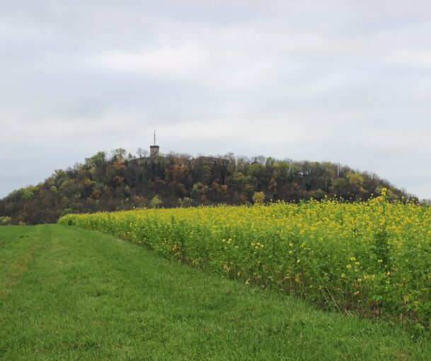 Blick über den Schanzacker Richtung Hohenasperg. Hier soll die Landeserstaufnahmestelle errichtet werden. Foto: privat