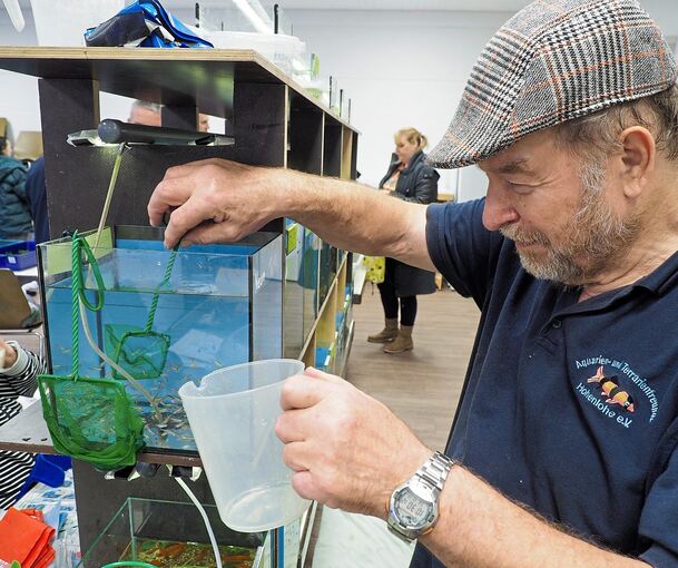 Auch ein kleines Aquarium benötigt viel Pflege und Zeit. Foto: Holm Wolschendorf