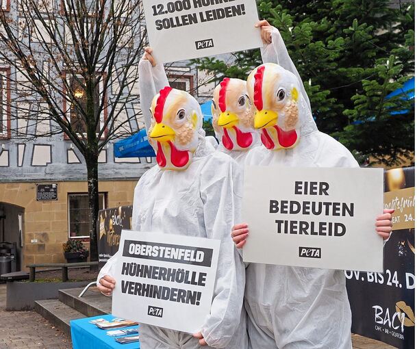 Protest vor dem Oberstenfelder Rathaus: Peta-Aktivisten machen Stimmung gegen den geplanten Hühnerstall auf dem Lichtenberg.