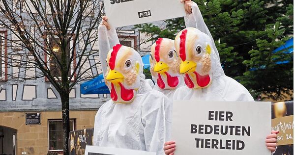 Protest vor dem Oberstenfelder Rathaus: Peta-Aktivisten machen Stimmung gegen den geplanten Hühnerstall auf dem Lichtenberg.