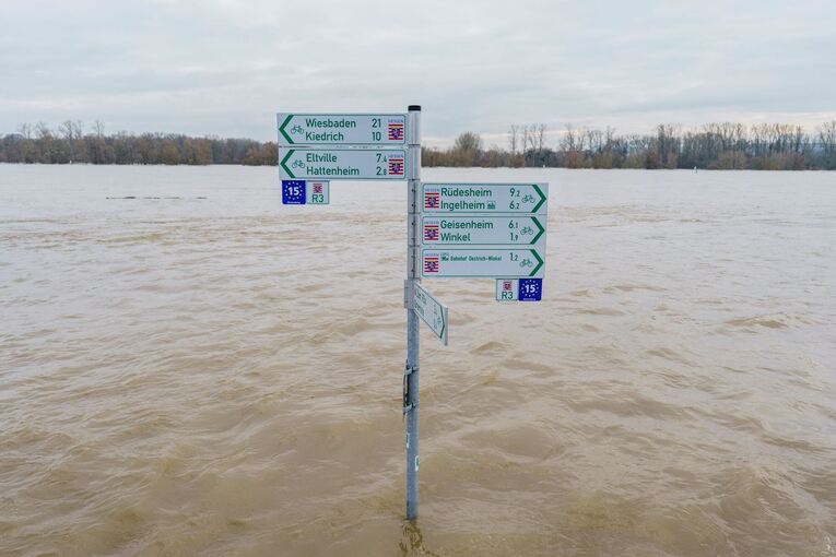 Hochwasser am Rhein