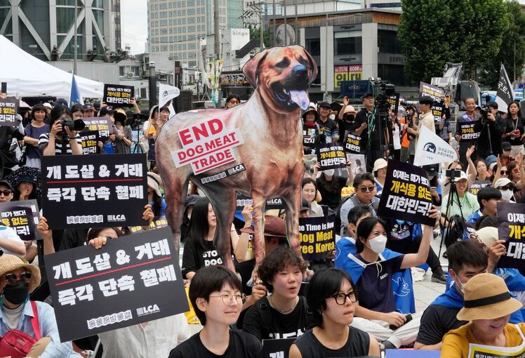 Südkorea will Verzehr von Hundefleisch ein Ende setzen