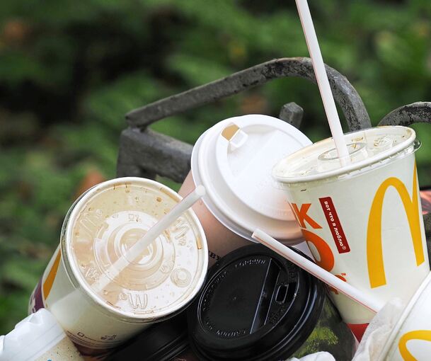 Benutzt und weggeworfen: Tübingen versucht, über eine Steuer die Einwegverpackungen zu verringern. Foto: ANGHI - stock.adobe.com