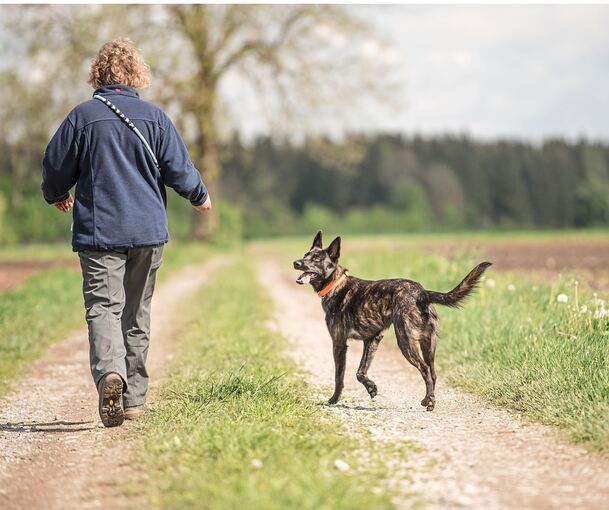 Jetzt im Frühjahr ist es weder Mensch noch Hund erlaubt, im Wald die Wege zu verlassen sowie Wiesen, Felder und Ackerränder zu b Jetzt im Frühjahr ist es weder Mensch noch Hund erlaubt, im Wald die Wege zu verlassen sowie Wiesen, Felder und Ackerränder zu betreten.