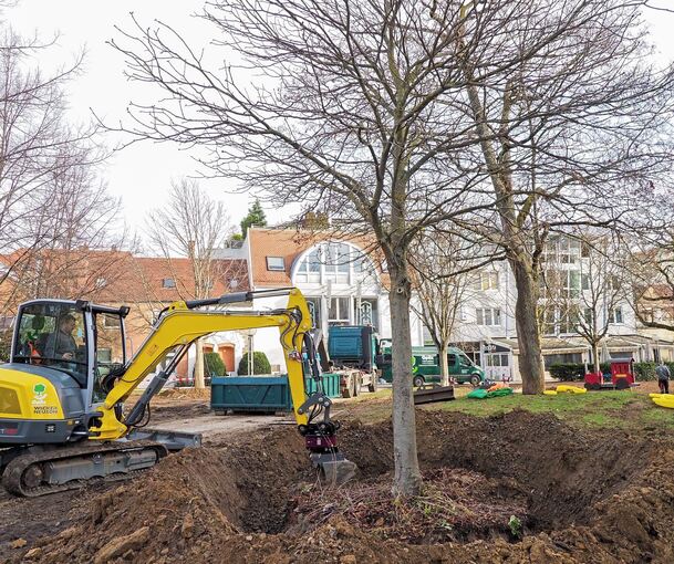 Der Arsenalgarten war für die Umpflanzaktion abgesperrt. Foto: Holm Wolschendorf