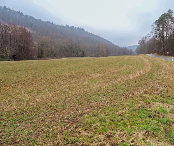 Hier an der Kreisstraße in Richtung Prevorst soll ein Damm bei starkem Regen das Wasser der Bottwar aufhalten. Foto: Holm Wolschendorf