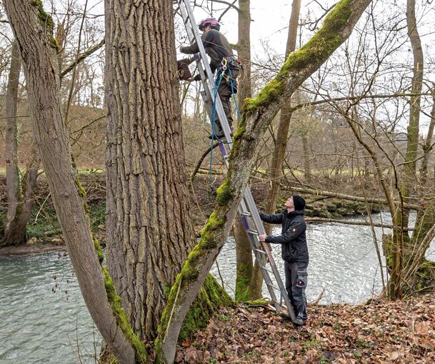 Vorsicht ist geboten, wenn die Kästen nah am Fluss befestigt werden. Foto: Andreas Essig